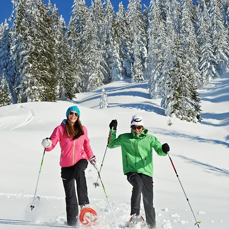 Alpenparks 3* Maria Alm am Steinernen Meer